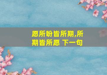 愿所盼皆所期,所期皆所愿 下一句